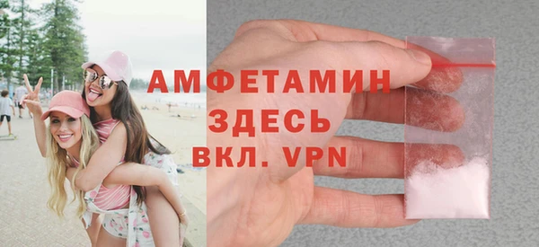 гидра Кодинск