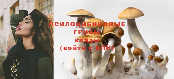 ешки Кинешма