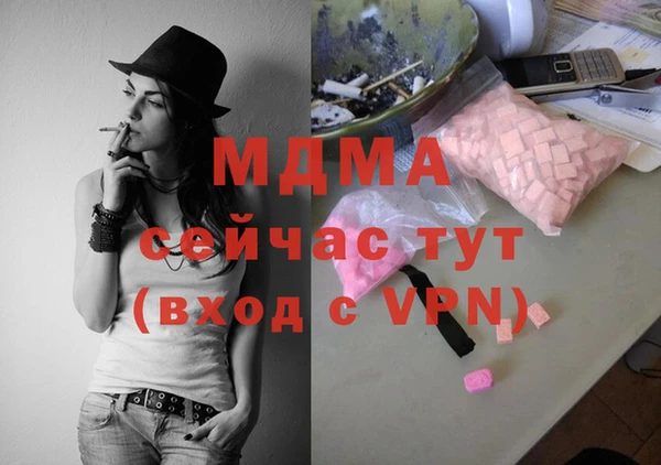 гидра Кодинск