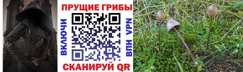 Галлюциногенные грибы ЛСД  Купить закладки  Рузаевка 
